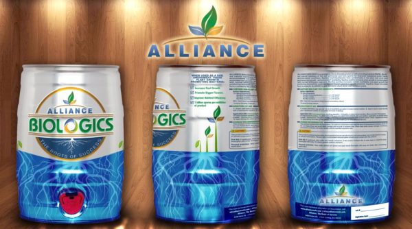 Alliance Roots Keg Concept